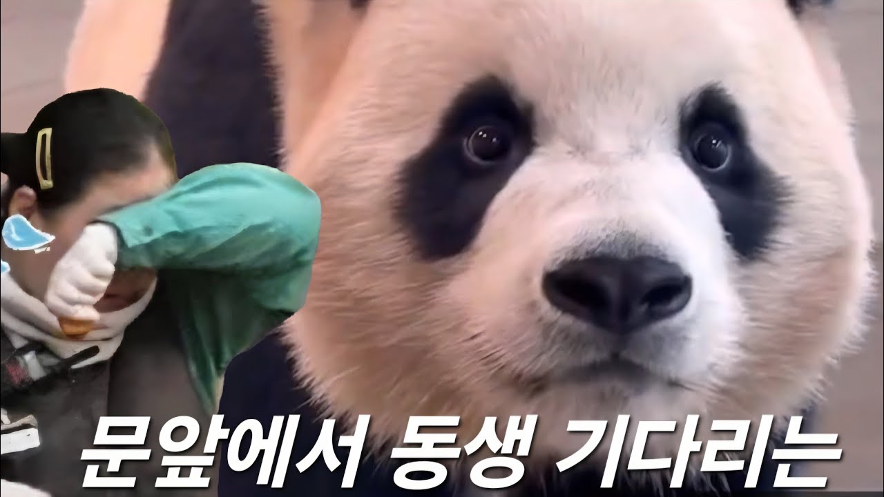 세컨하우스 4월16일 문앞에서 하염없이 동생을 기다리고 