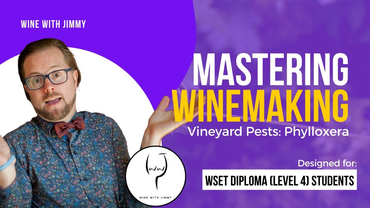 WSET Level 4 (WSET Diploma) Mastering Pests: Phylloxera