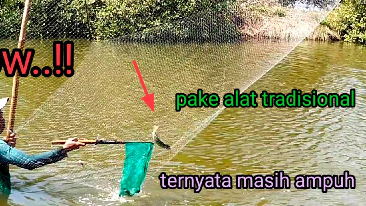 nganco di sungai dapat ikan mujair dan ikan belanak,