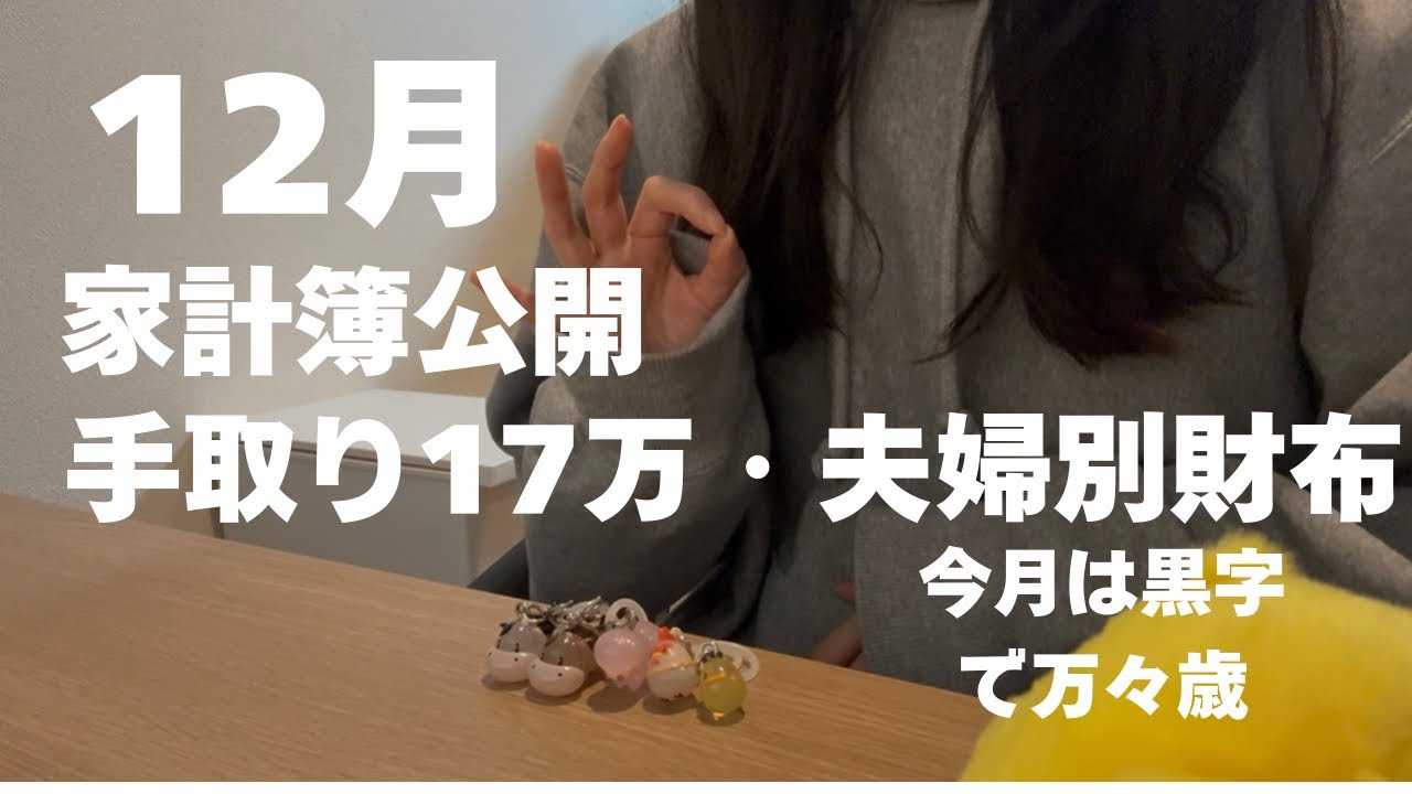【手取り17万OL】12月の家計簿公開🎄