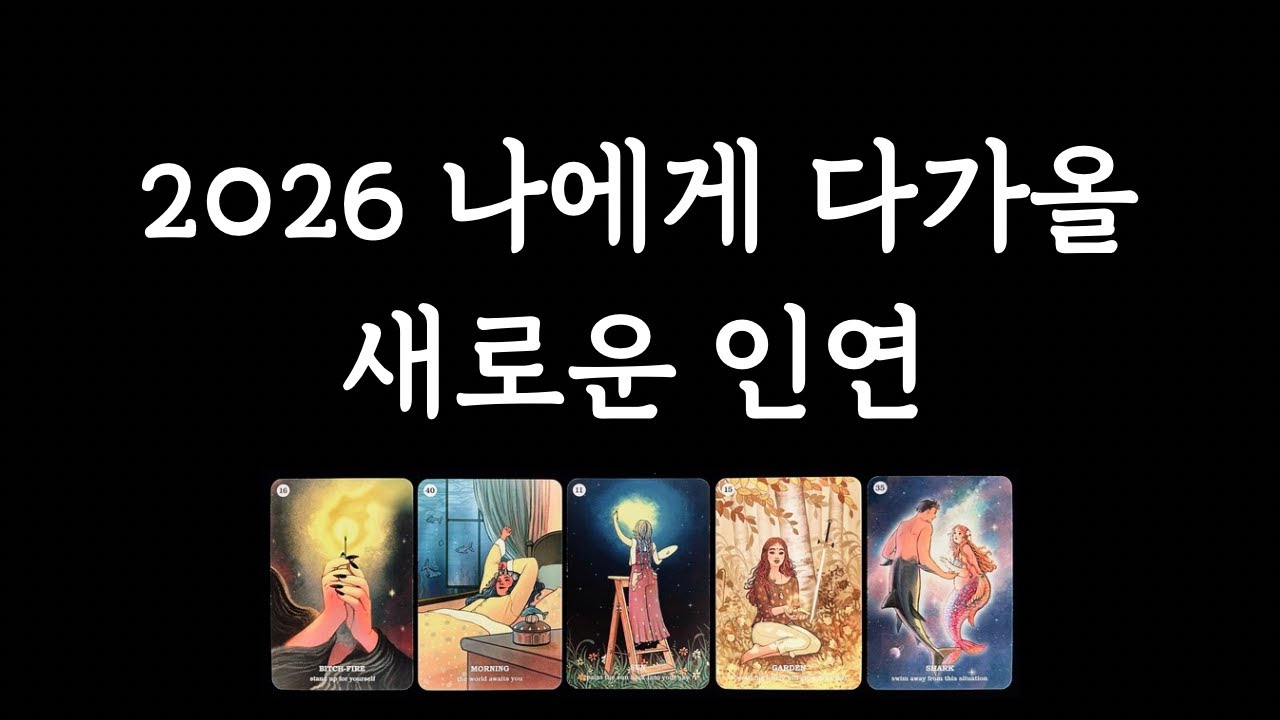 [타로/인연] 2026년 나에게 다가올 운명의 인연❤️‍🔥/ 타로카드의 탄생 도서 소개