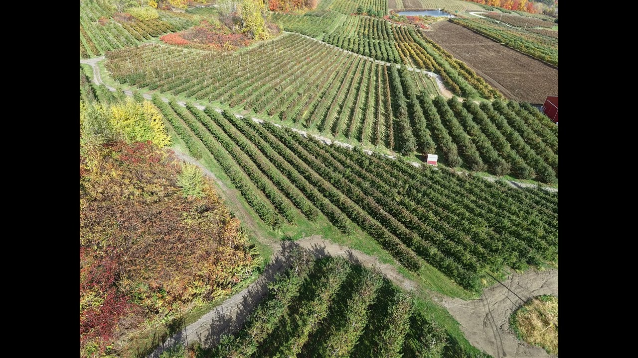 Drone Pics