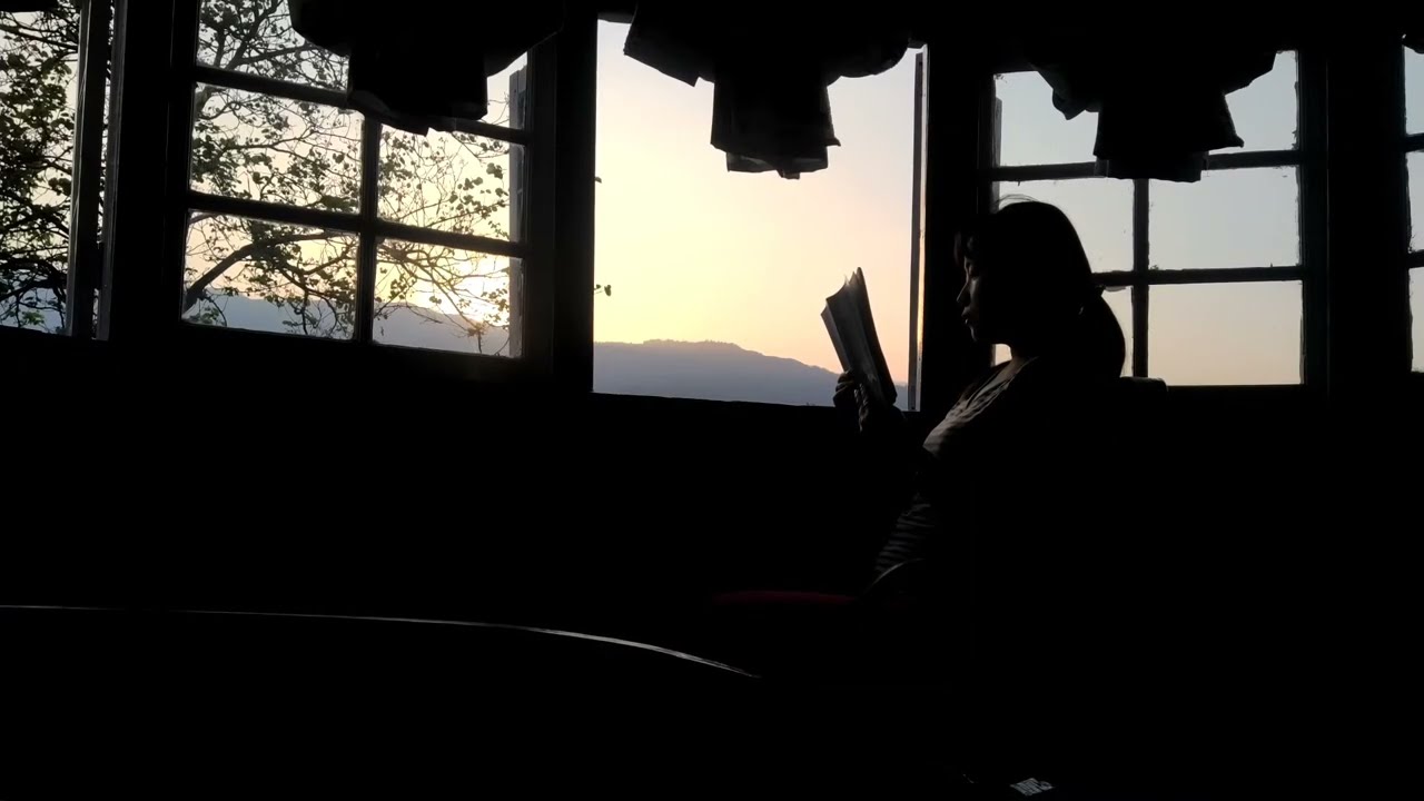 READ WITH ME || Books and Sunrise || Morning Lofi Study #booktube  music || 11 minute read with me