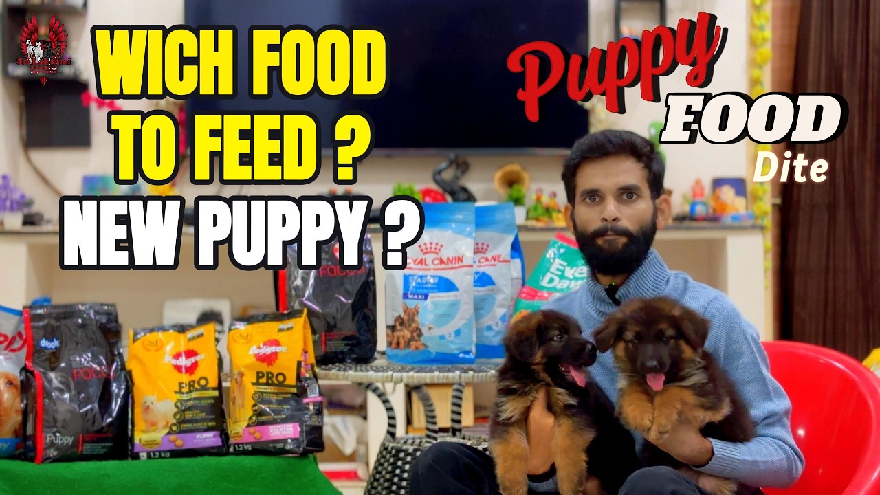 What to feed 1 month age puppy | Puppy Food diet chart | how to give pedigree to puppy | puppy food