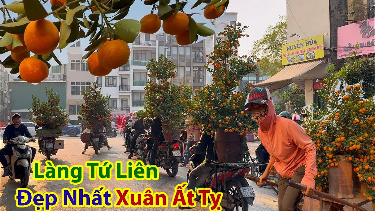 Tết Hà Nội 2025 -  Làng Quất Tứ Liên Chiều Nhộn Nhịp Chưa Từng Thấy