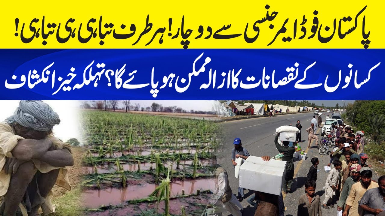 Food Crisis in Pakistan: The Survival Battle of Our Farmers | Neo Plus