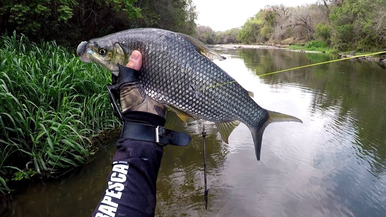 Incrível Como Elas fazem o Spincast Cantar/ Slingshot Fishing 🇧🇷 (Pesca com Estilingue)