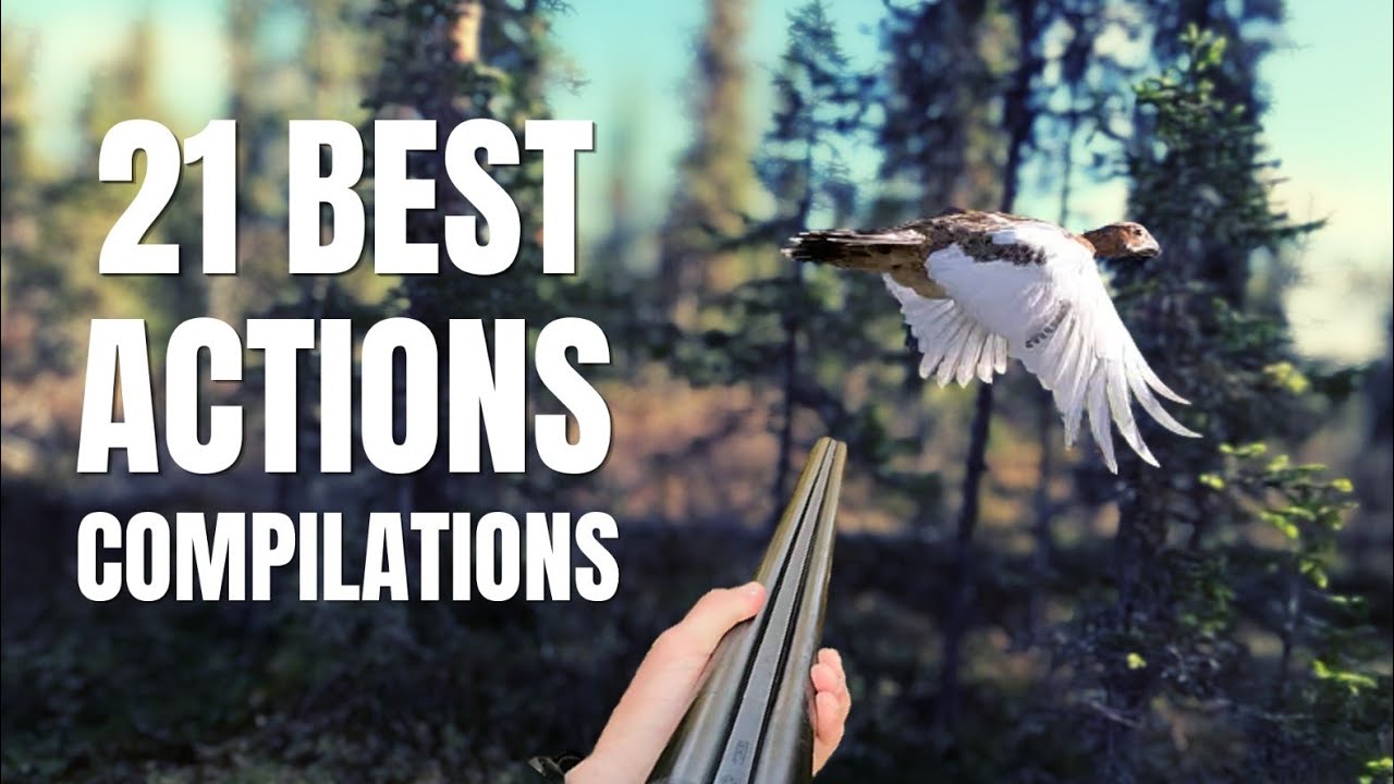 LAPLAND HUNTING | 21 BEST ACTIONS COMPILATIONS