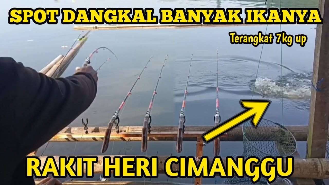 Spot dangkal banyak ikanya terangkat 7kg up Part 1 Rakit heri cimanggu🔥 Mancing Cirata terbaru