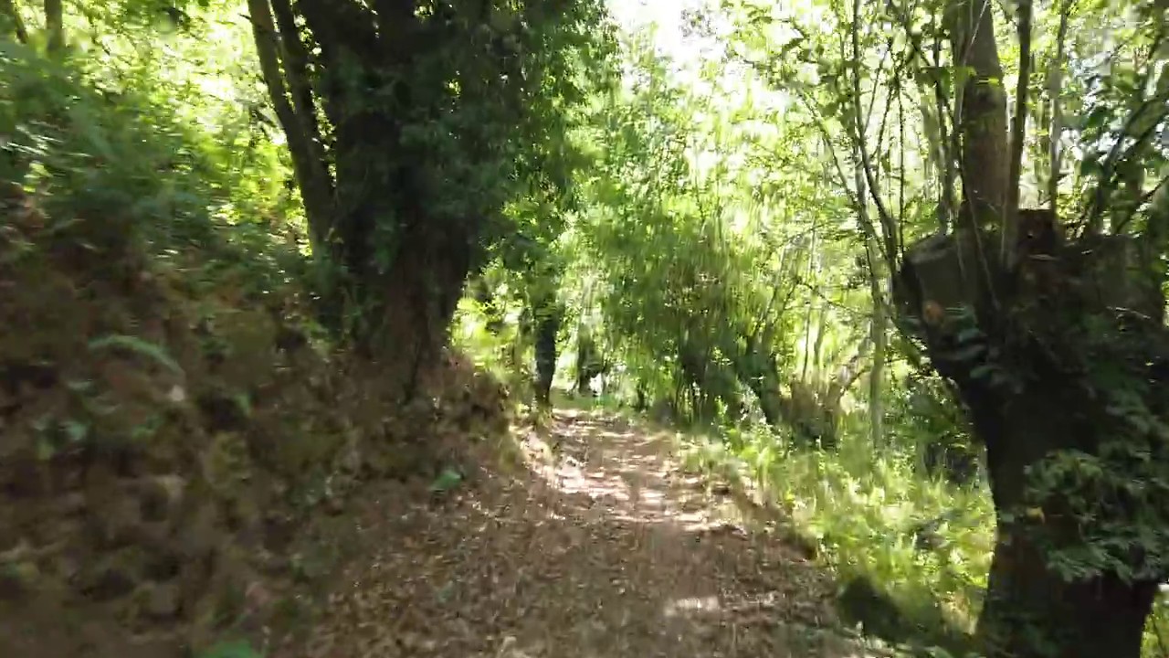 Spain Backyard Ultra 05