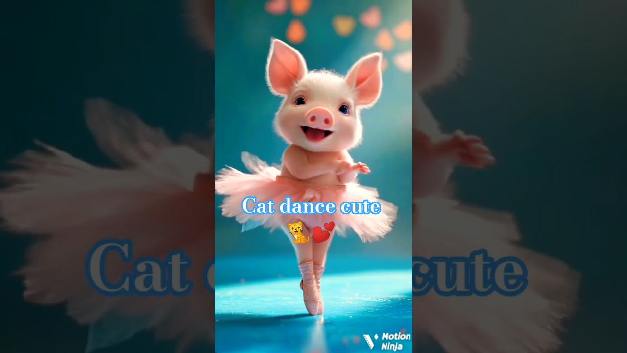 cat dance cute 🐈💕 