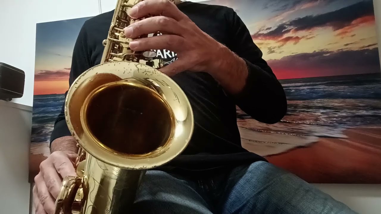 Tenorselmer4520XX