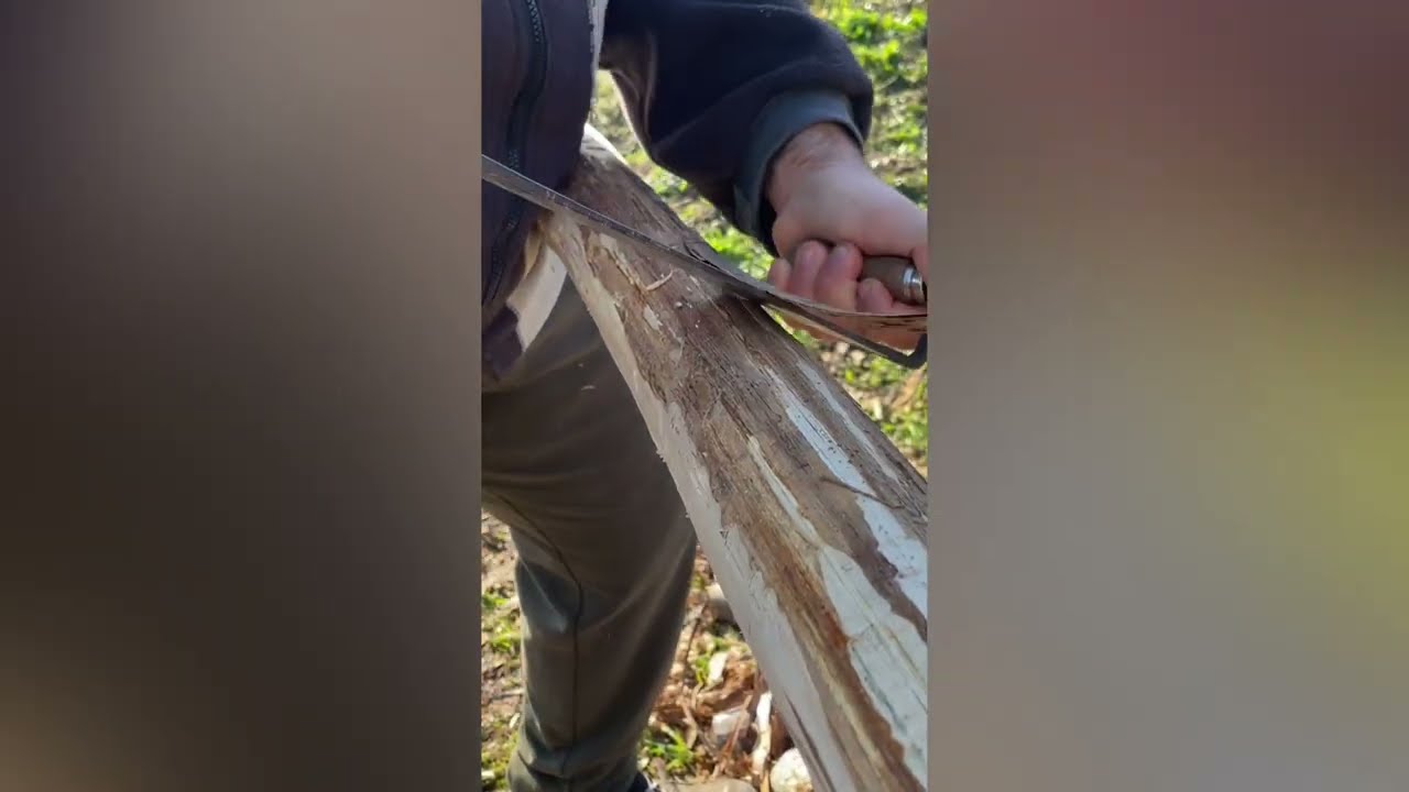 QUALI STRUMENTI PER PREPARARE I PALI DI CASTAGNO | PERCHE' SI TOGLIE LA CORTECCIA?