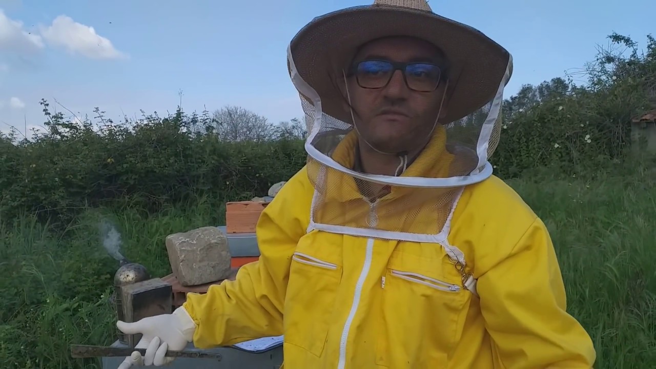 Blocco della sciamatura (seconda fase)