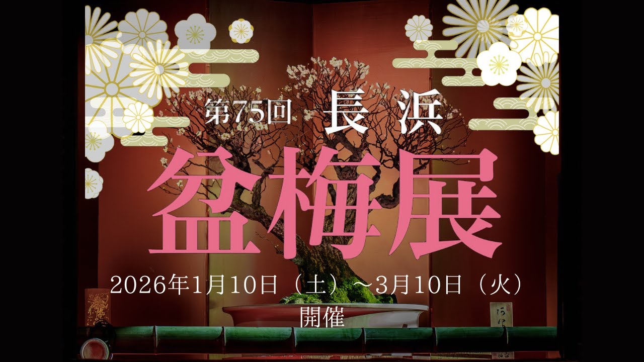 第75回長浜盆梅展PV