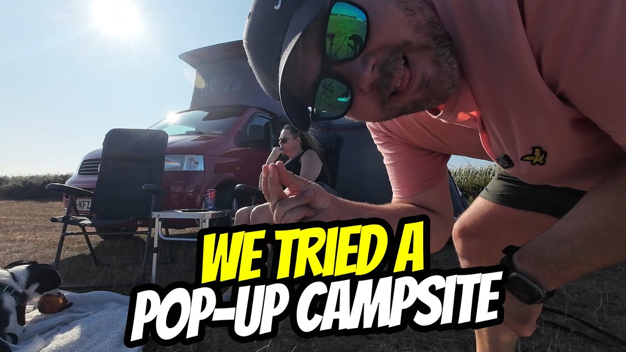 VW Vanlife in the New Forest | Ponies, Starlink & Off-Grid Camping