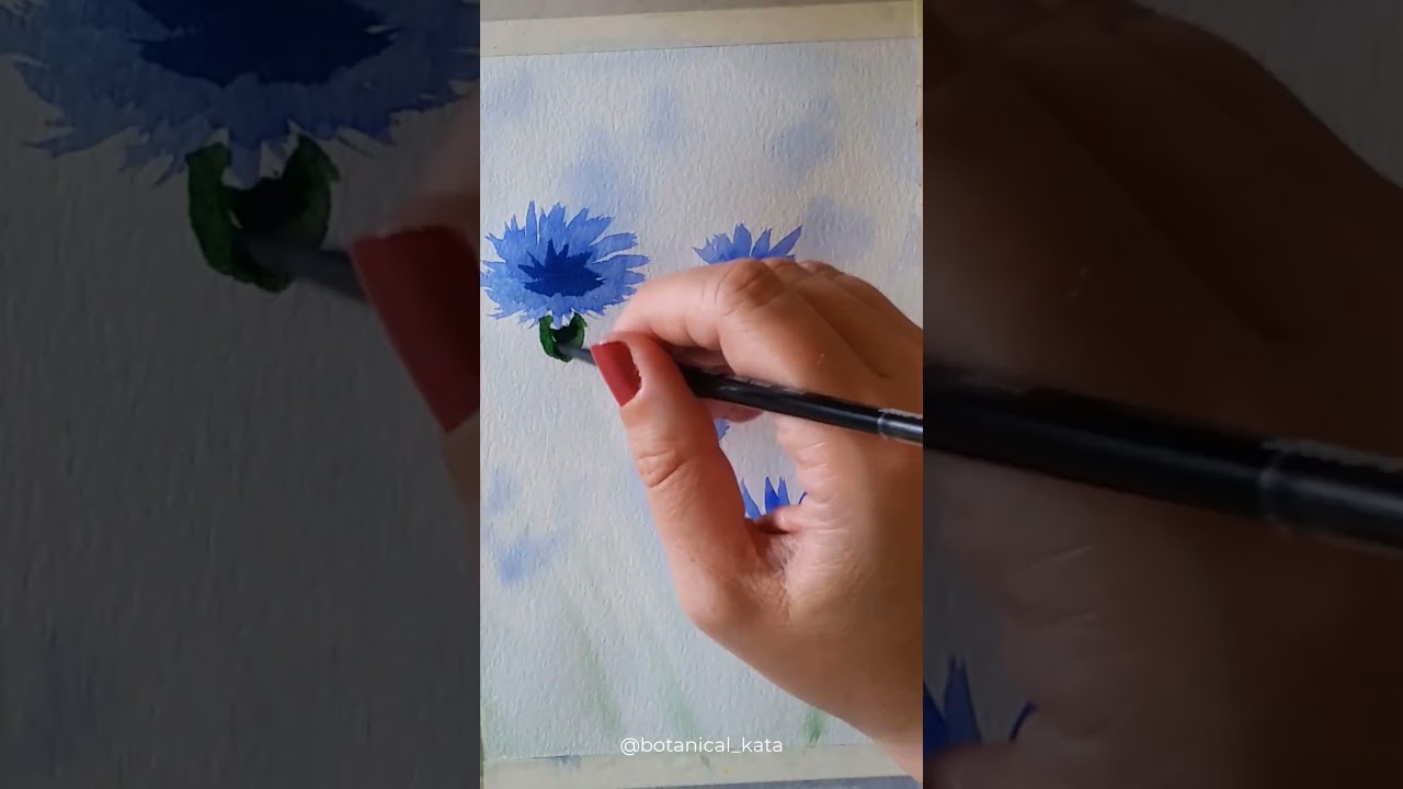 Beginner friendly cornflowers with background