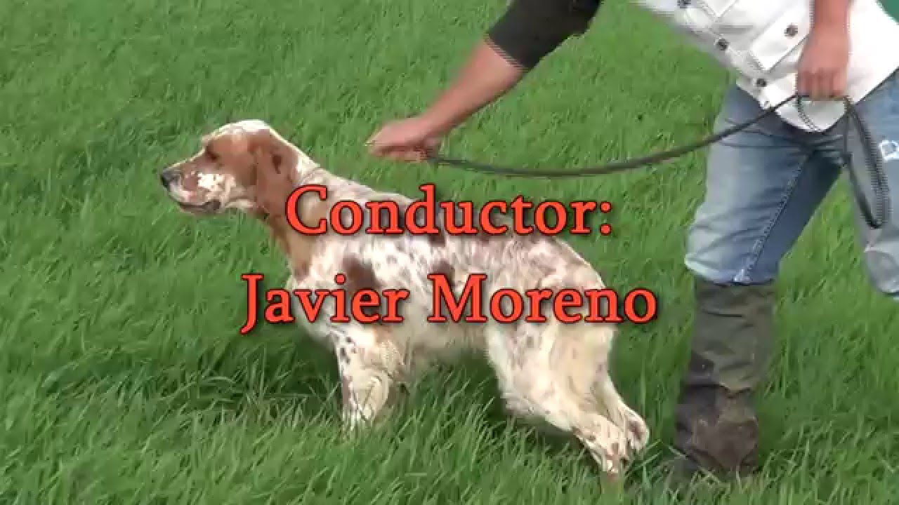 Paco de Piedrallada en  turno de CACT de Gran Busca