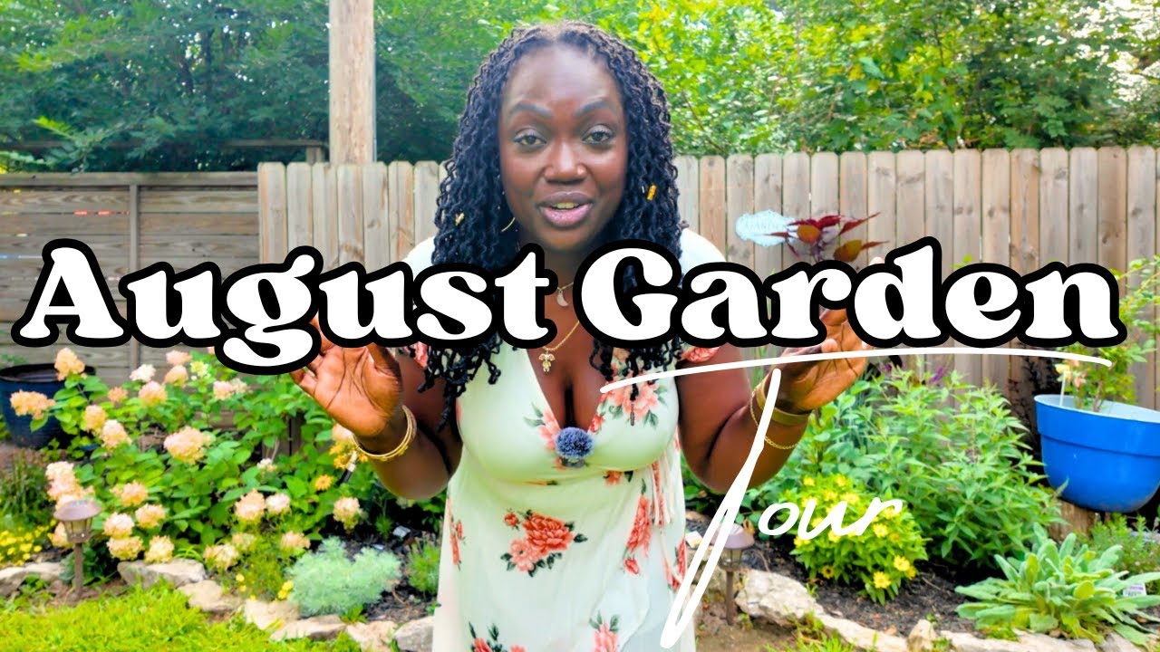 Slowly Creating the Garden of my Dreams 🧚🏾‍♀️ | August Garden Tour | NW Ohio Zone 6B