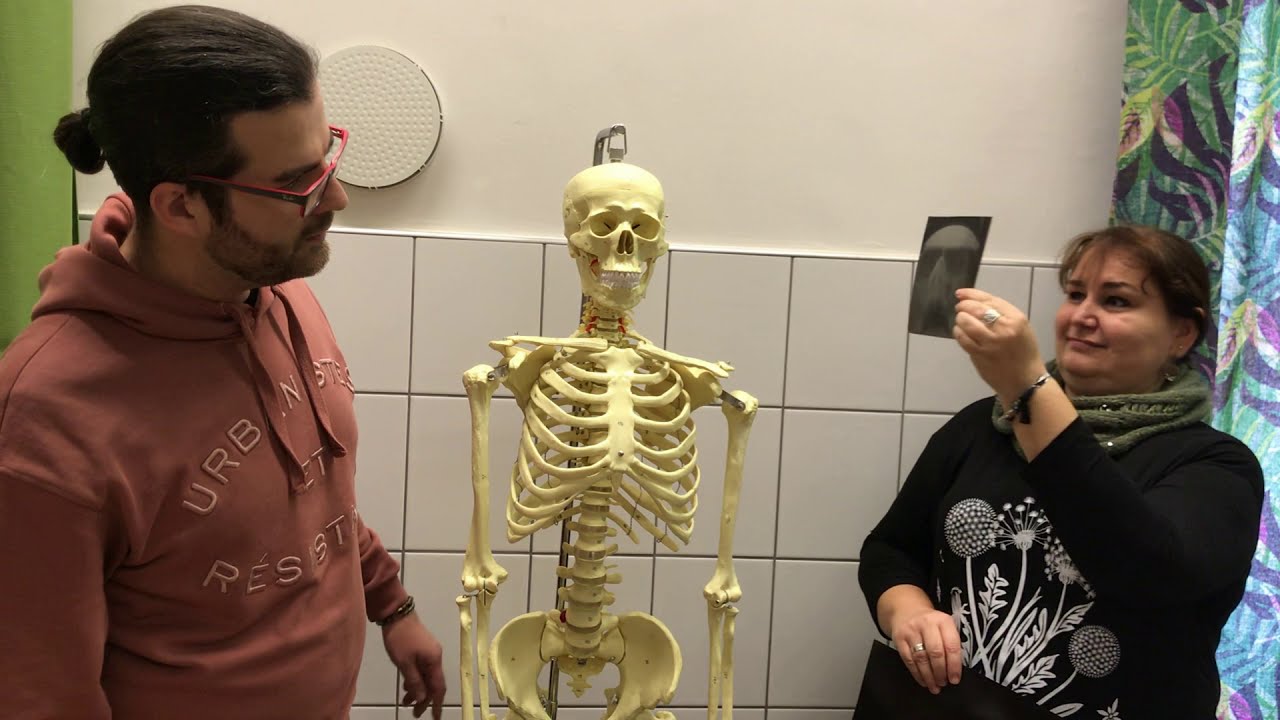 Biológia-kémia tagozat a Szinyeiben