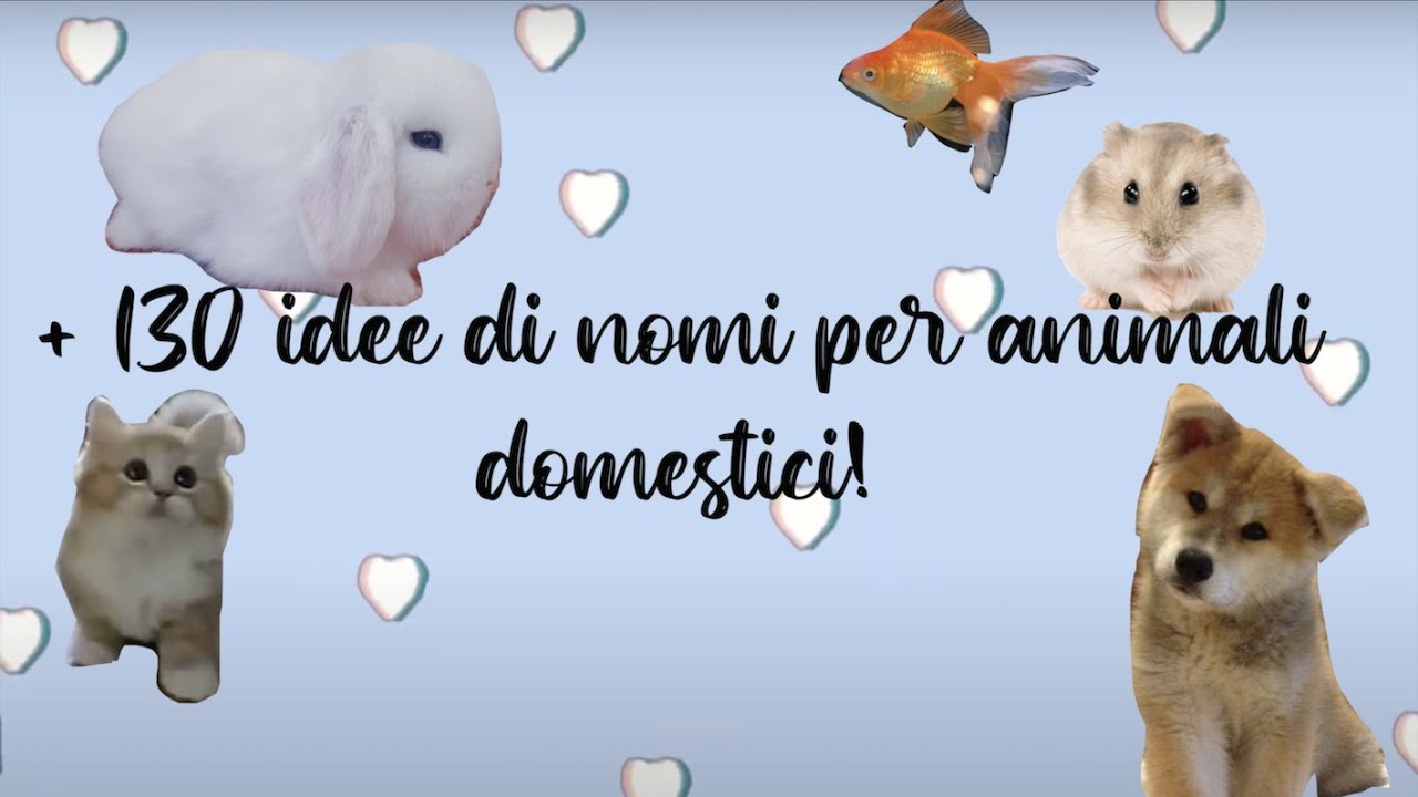 +130 NOMI PER ANIMALI DOMESTICI 🐹🐰🐶🐱🐭🐠