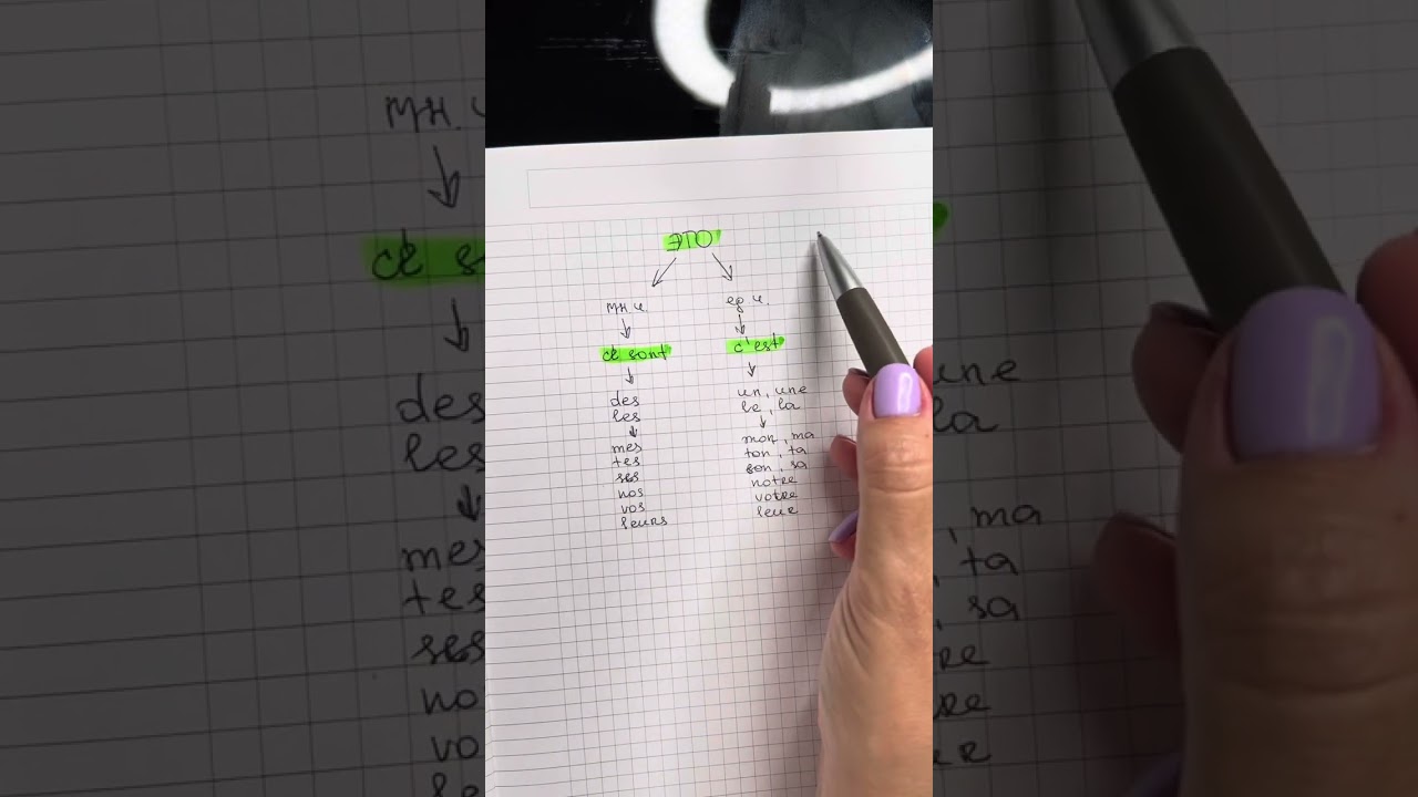 ФРАНЦУЗСКАЯ ГРАММАТИКА 👉 c&rsquo;est или ce sont