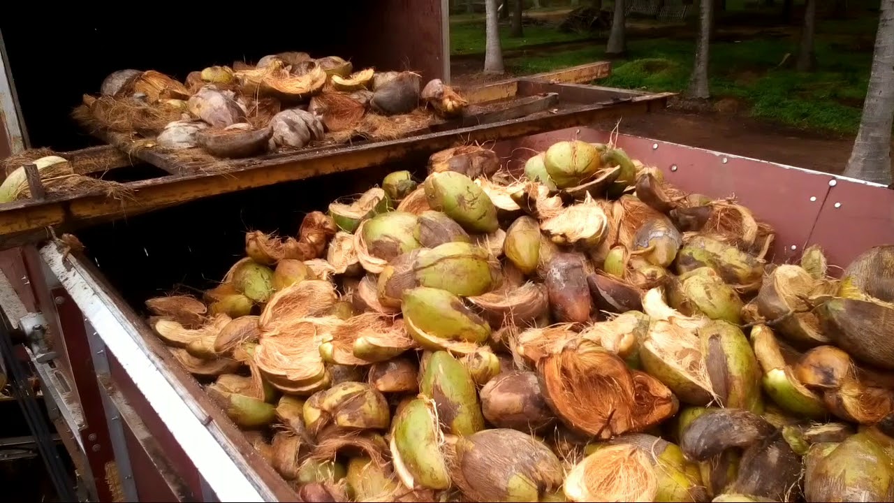 Coir industry