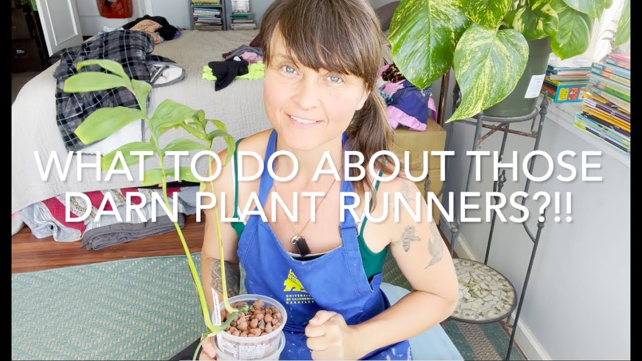 What to do with those pesky plant runners!!
