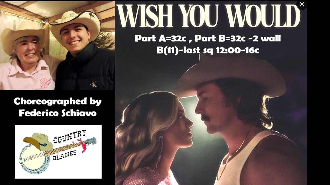 Wish You Would
