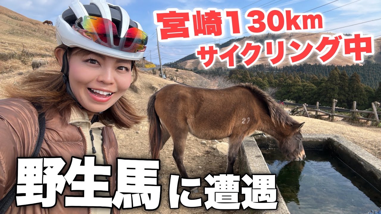 【都井岬】宮崎の最南端には野生馬が生息している！ひなたサイクリングコース130km【2日目】さんふらわあで志布志→大阪