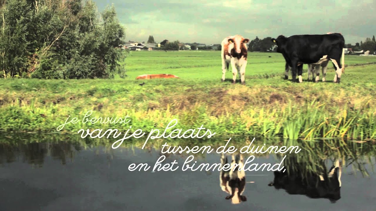 Gedicht | Bewegen door Zuid-Holland Noord