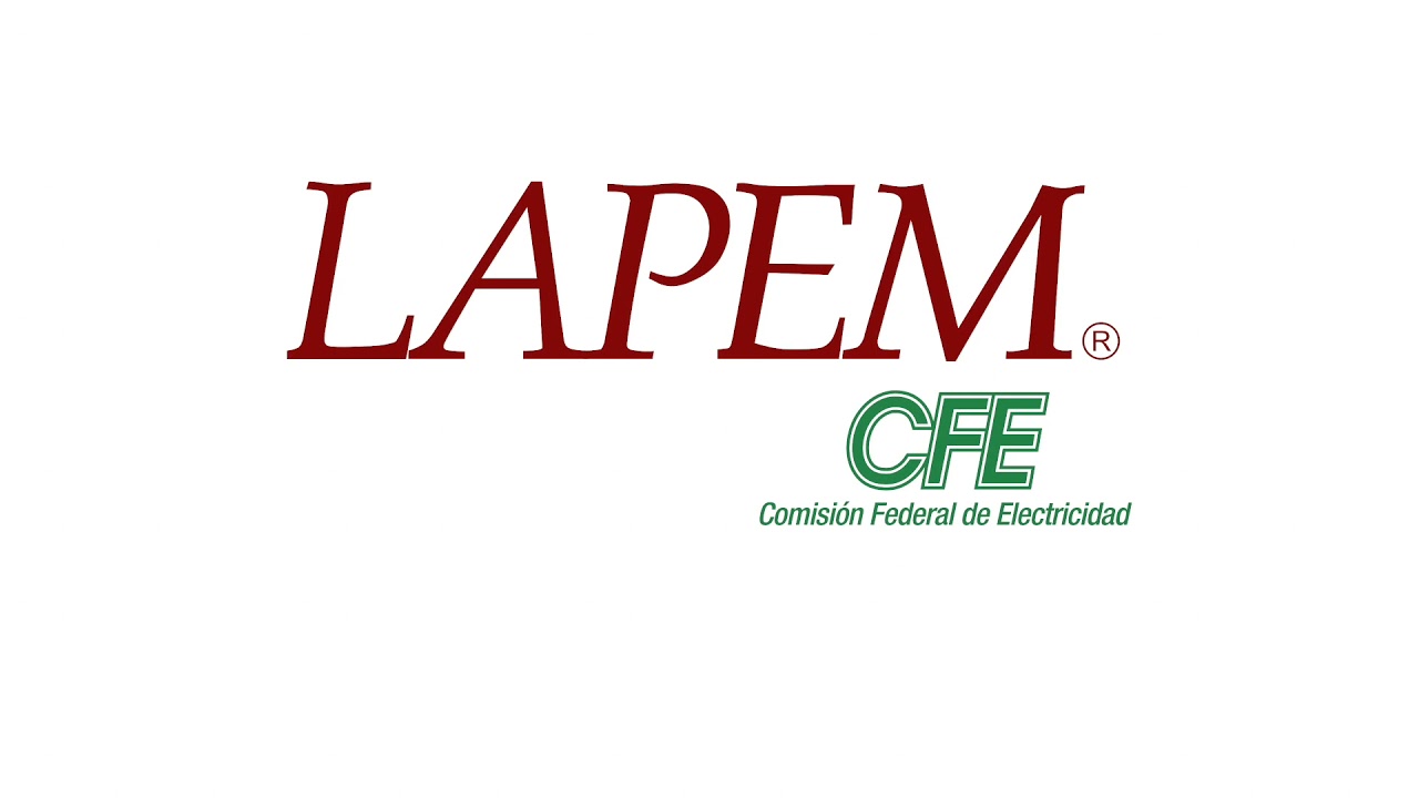 Sistema de Inspecci&oacute;n a Distancia Poliflex