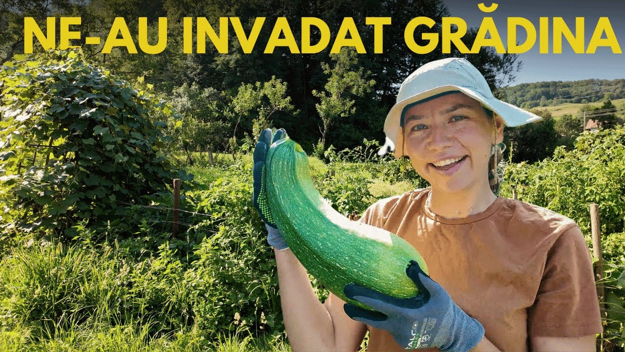 🥲 Ce am GASIT acasa dupa 21 ZILE? Am esuat ca GRADINARI? Viata la tara