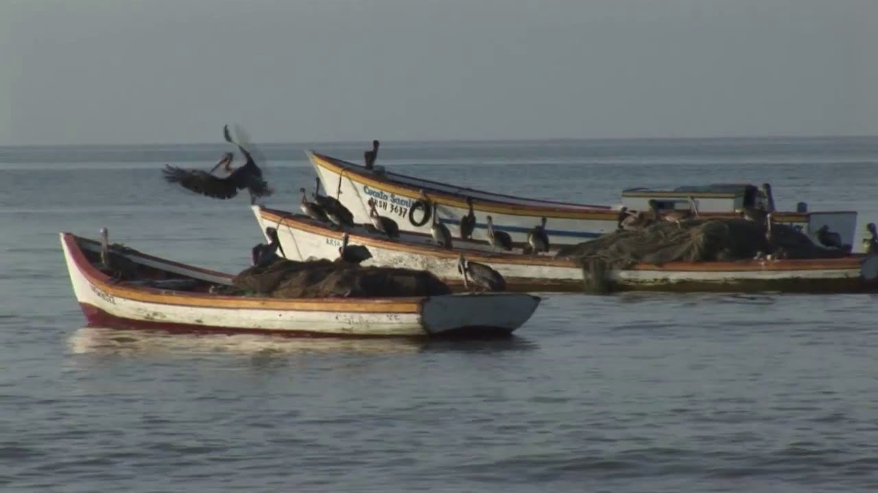HORIZONTE NUESTRO - Isla de Coche 