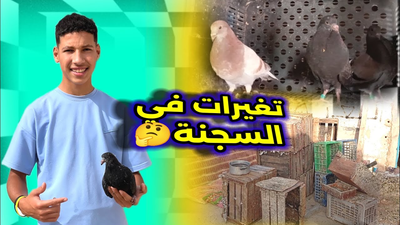 تغيرات في السجنة🤔❤️‍🩹 ما تخيلوش شنو شريت🎁👀🤔