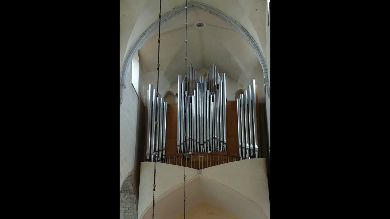 Bowser in the Sky (Tallinn Organ)