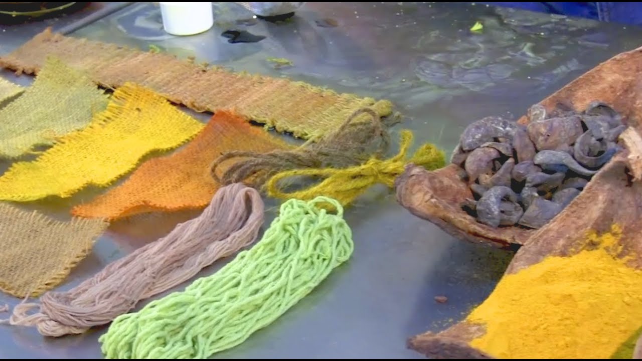Taller Express On Line, Elaboremos Colorantes Naturales. Santa Tecla