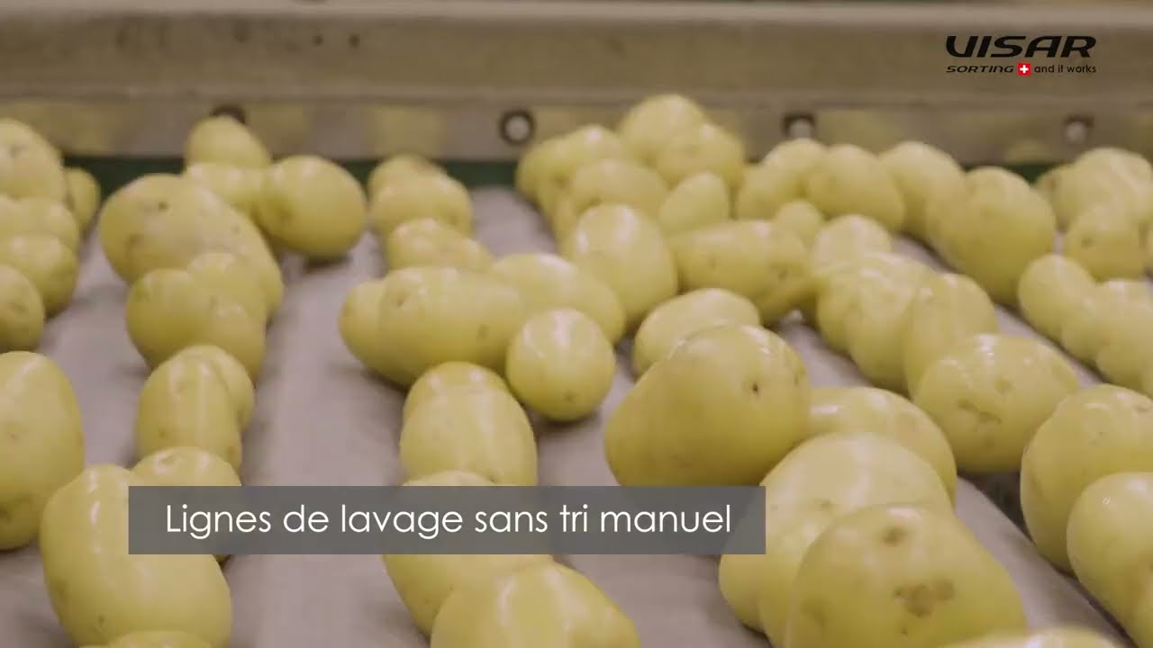 Sortop Potatoes - Trieur optique à haute performance pour pommes de terre
