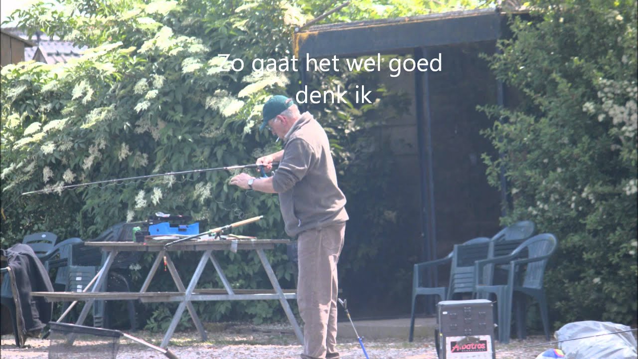 Forel vissen in Pannerden