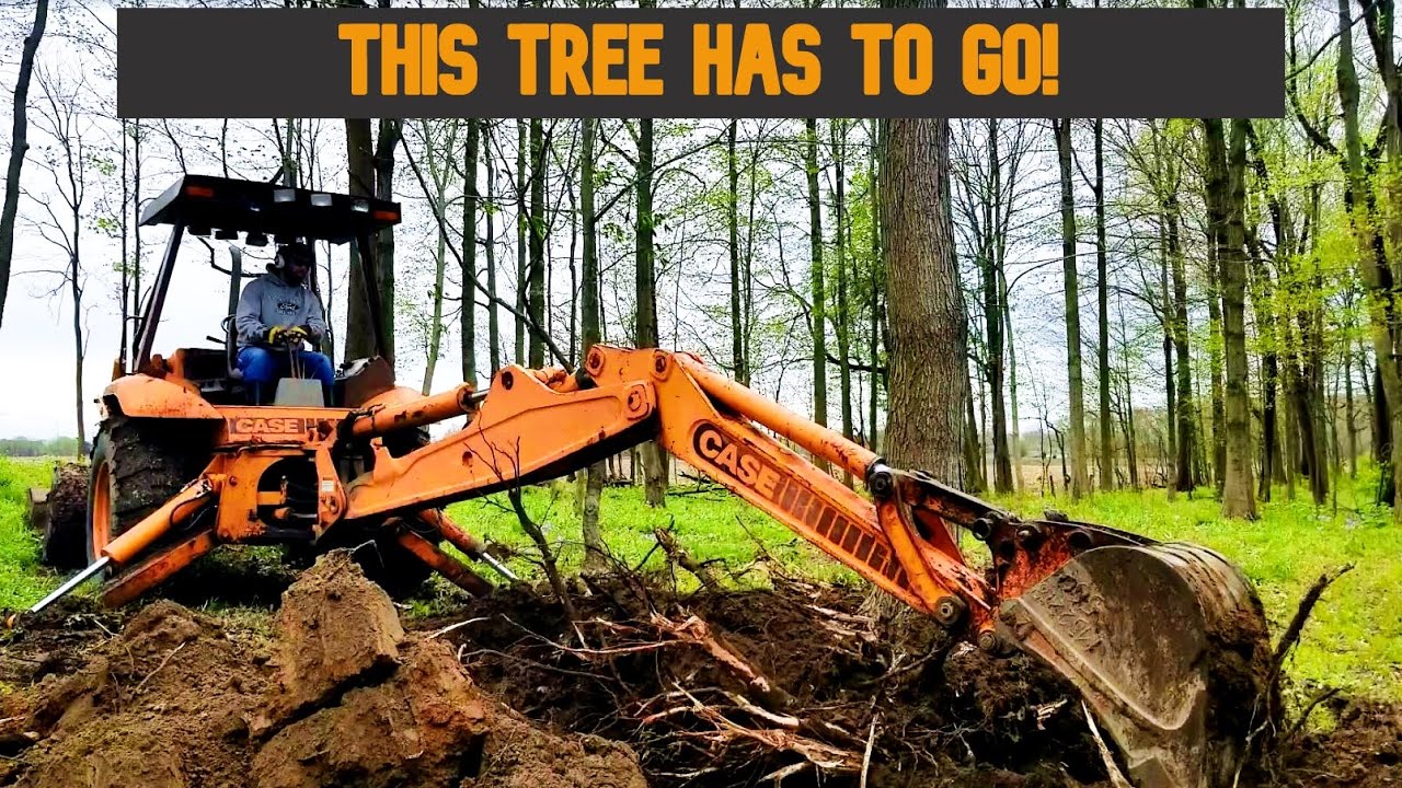 Clearing Trees with a Backhoe - Case 580K