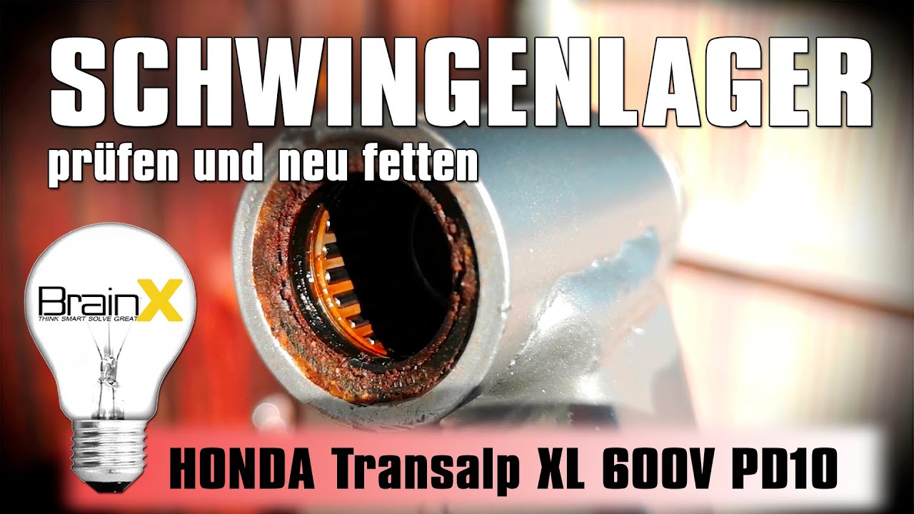 Schwingenlager fetten und prüfen Honda Transalp XL 600V PD10