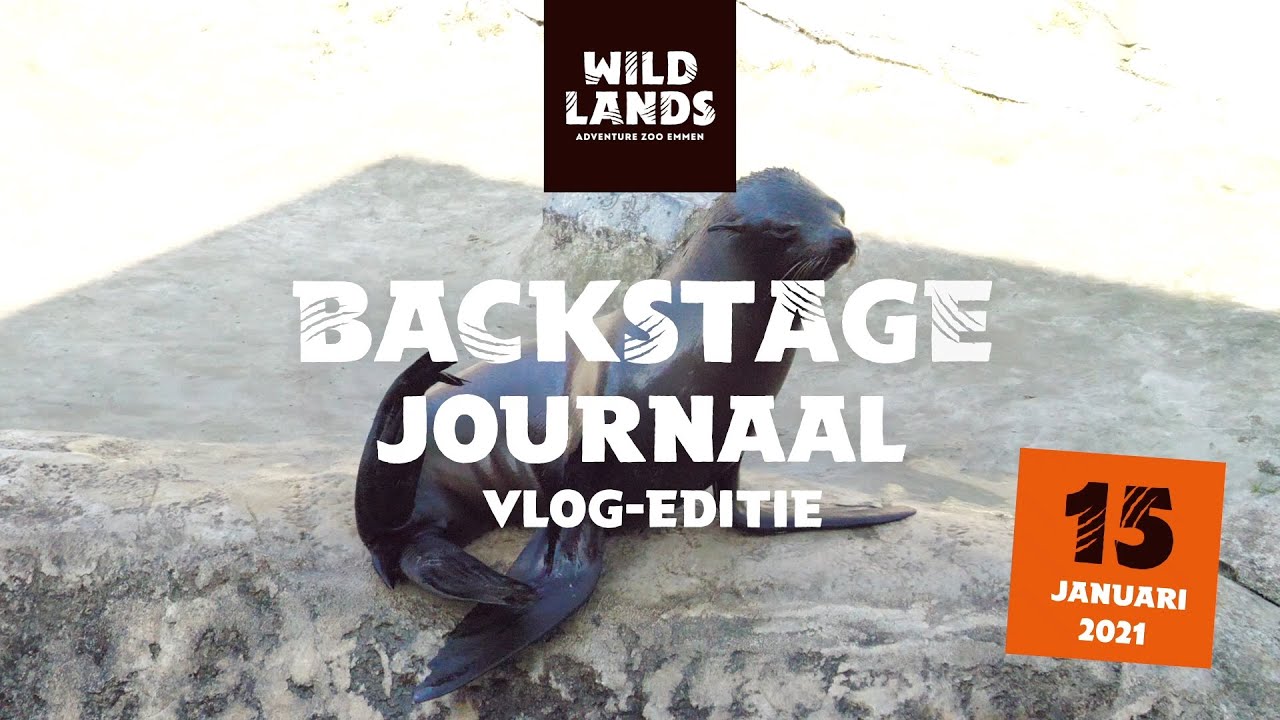 WILDLANDS Backstage Journaal vlog-editie 15 januari 2021