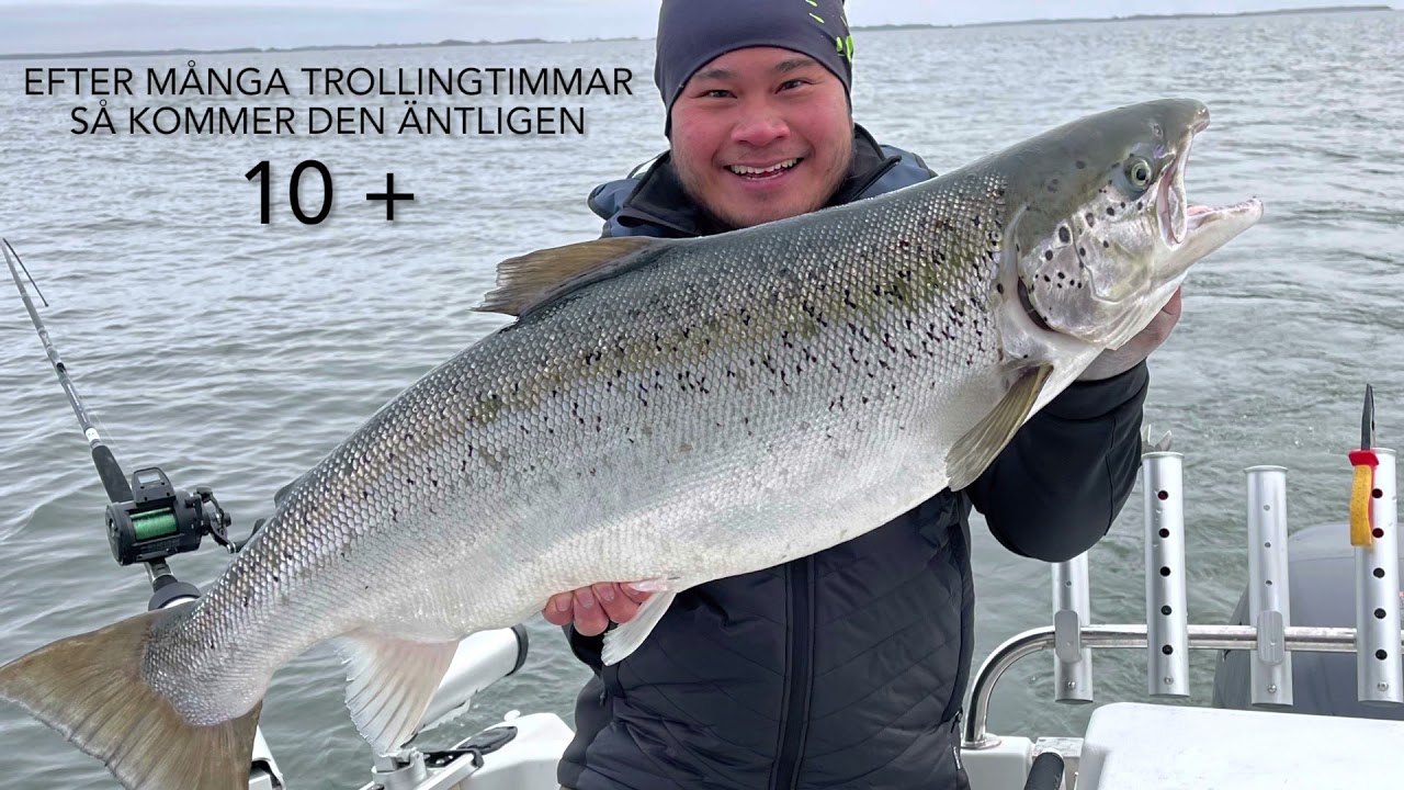 Laxtrolling på Vänern. Nytt PB!! Första laxen över 10kg!