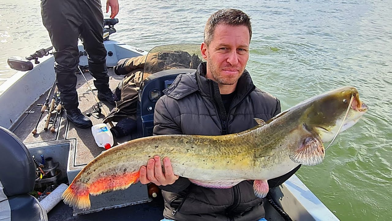 My first catfish!