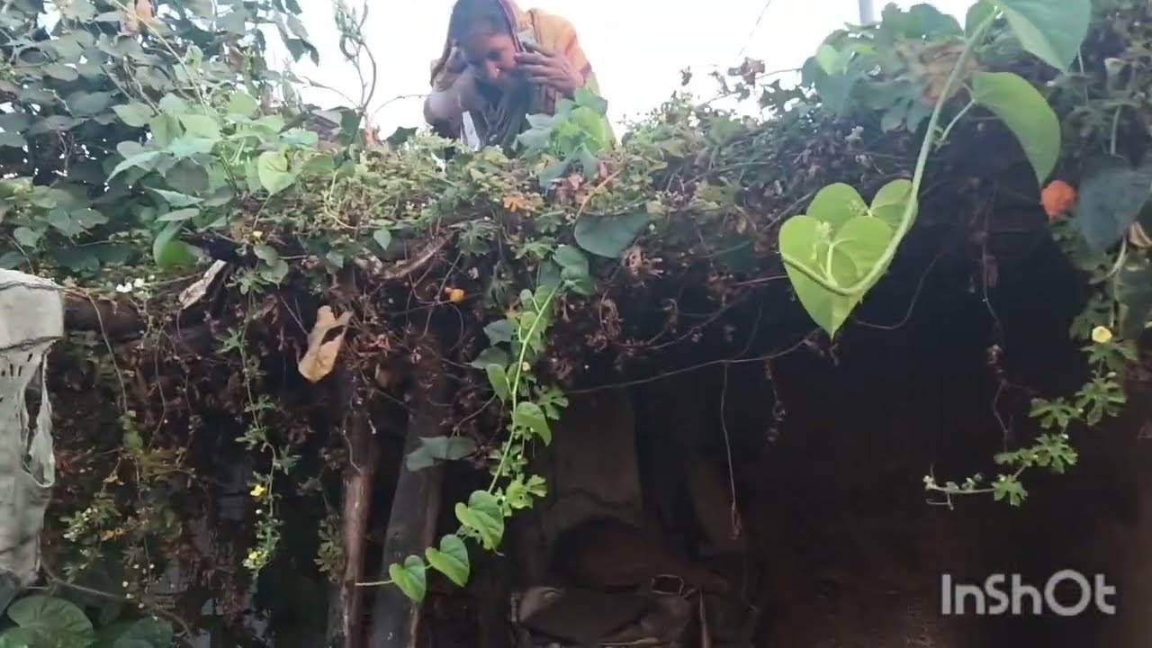 जुनी खोड आहेत लवकर नाही मोडत #minivlog #shortvideo #सासरची 