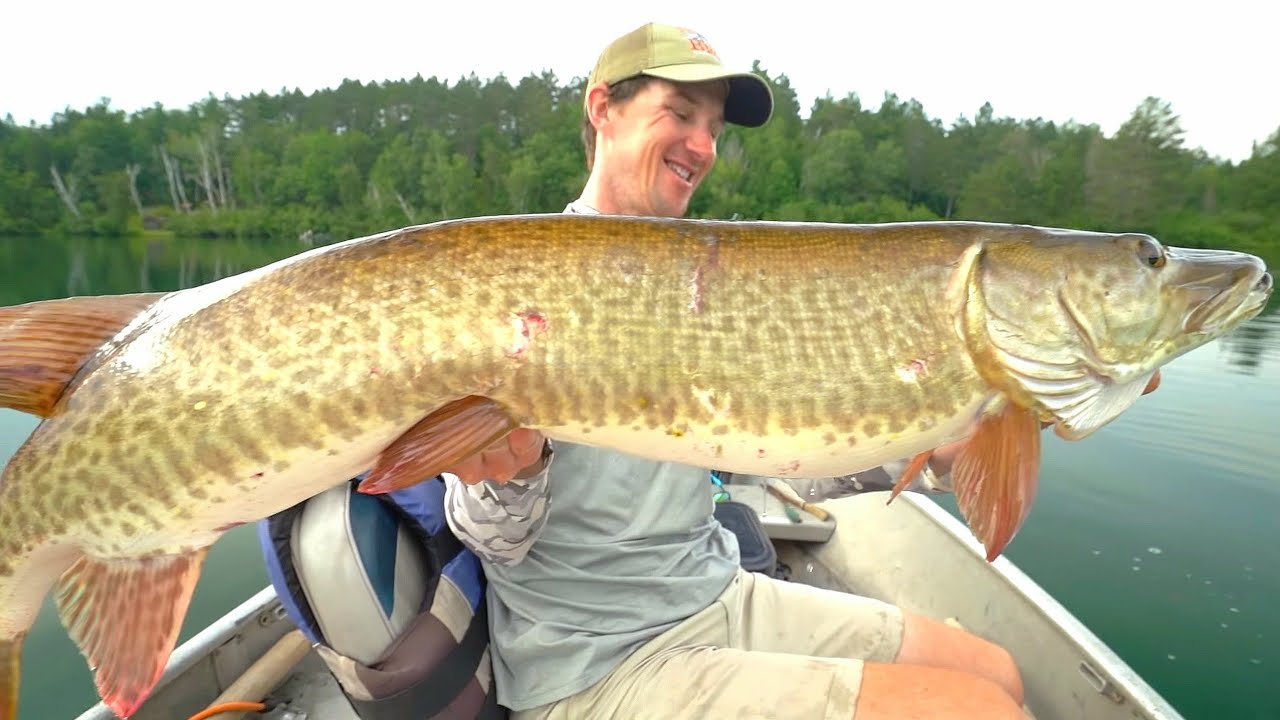 GIANT Clear Water Musky - The RowBoat Chronicles
