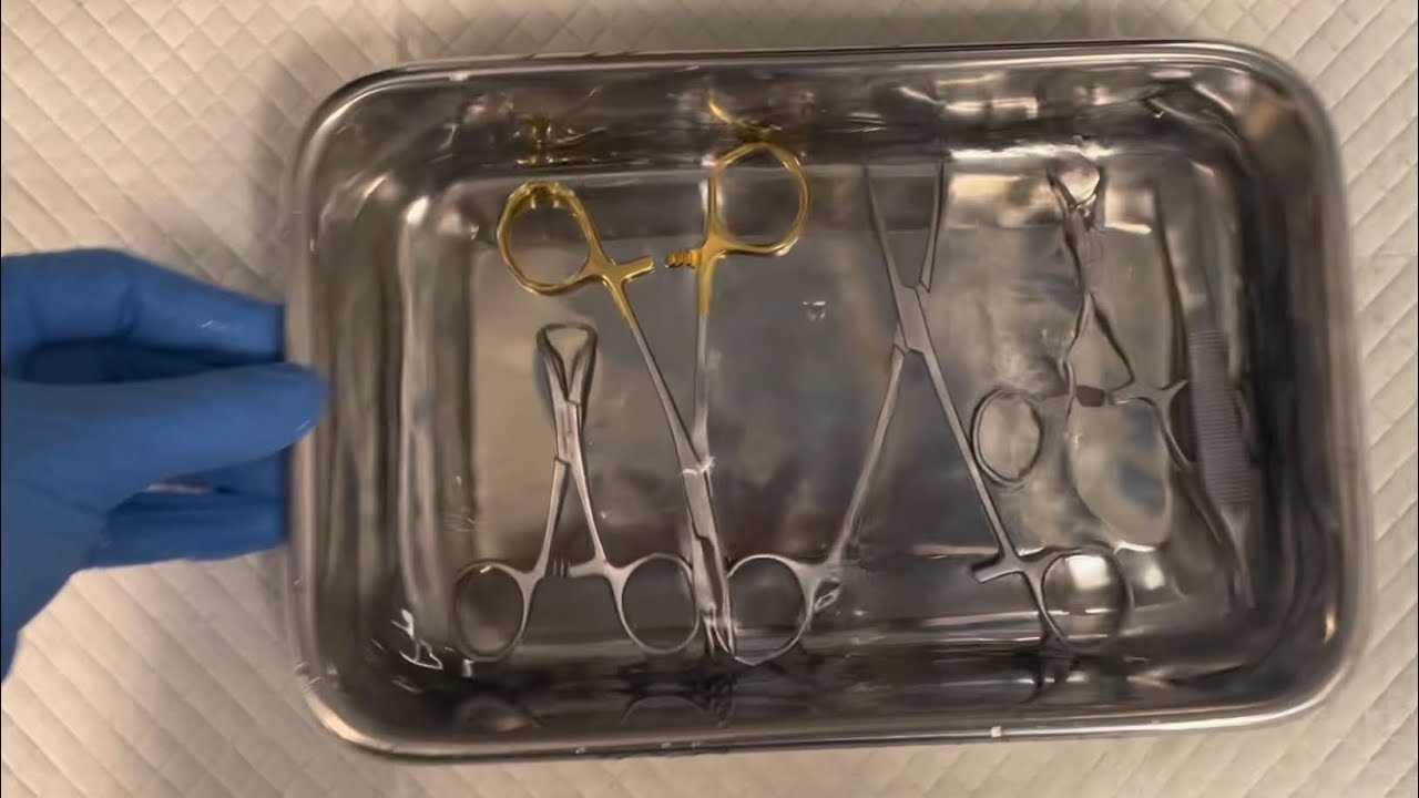 PF Vet Tech 2nd Externship (Skill 3) - Surgical Instrument Preparation