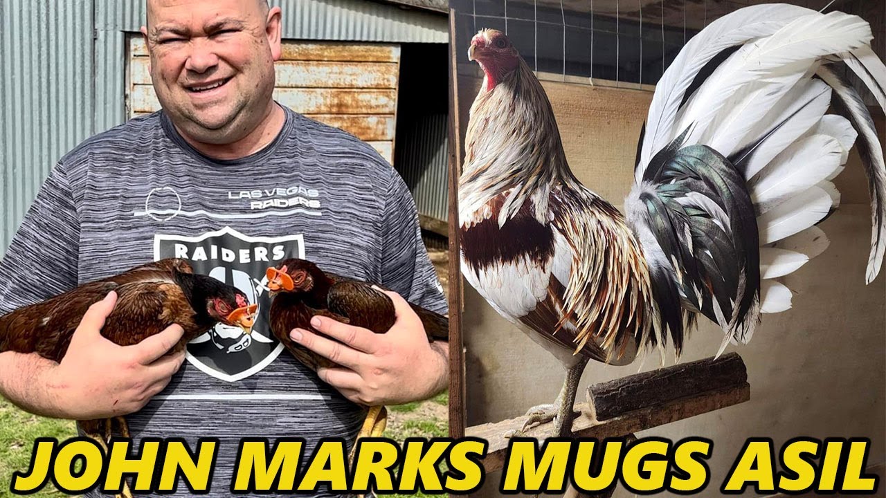 John Anthony Marks Farm - Marks Mugs Asil Palestine Texas