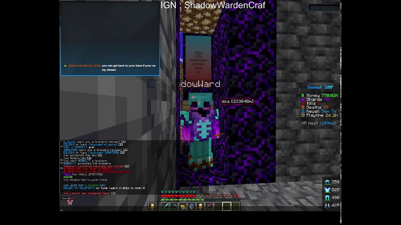 Playing on DonutSMP and Rating bases