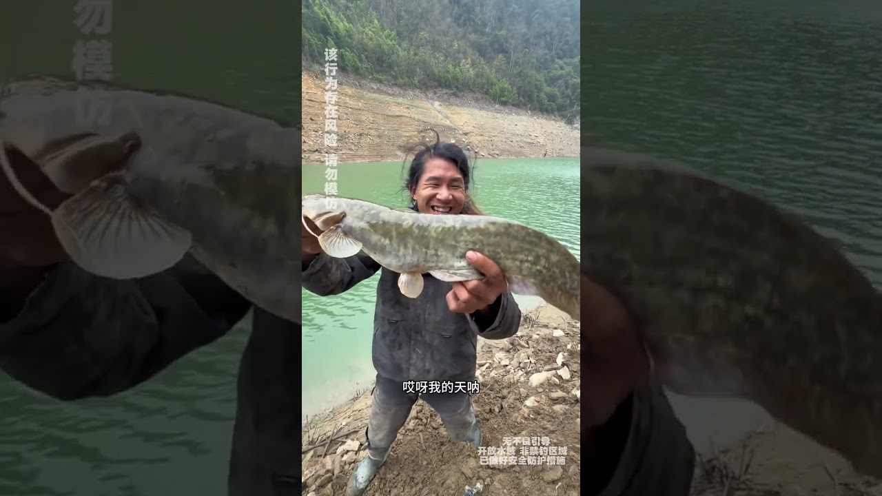 第四季冬季荒野钓鱼求生第22天：人生处处有惊喜，大鲶鱼来报喜！